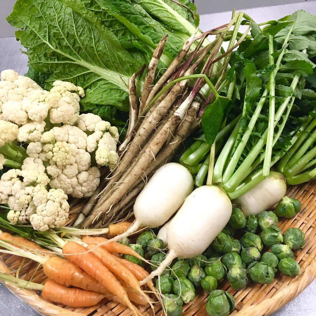 日本テレビ「ヒルナンデス！」さんのインスタグラム写真 - (日本テレビ「ヒルナンデス！」Instagram)「2月1日(金)放送 ヒルナンデスファーム 金曜メンバーで育てた冬野菜を生収穫！ 自分たちで作った野菜は小さくても とっても美味しいポトフと鍋になりました！ (C)日本テレビ  #ヒルナンデス #ヒルナンデスファーム #冬野菜収穫 #南原清隆 #久本雅美 #有吉弘行 #陣内智則 #河北麻友子 #メイプル超合金 #安藤なつ #カズレーザー #滝菜月」2月1日 17時37分 - hirunandesu_ntv_official