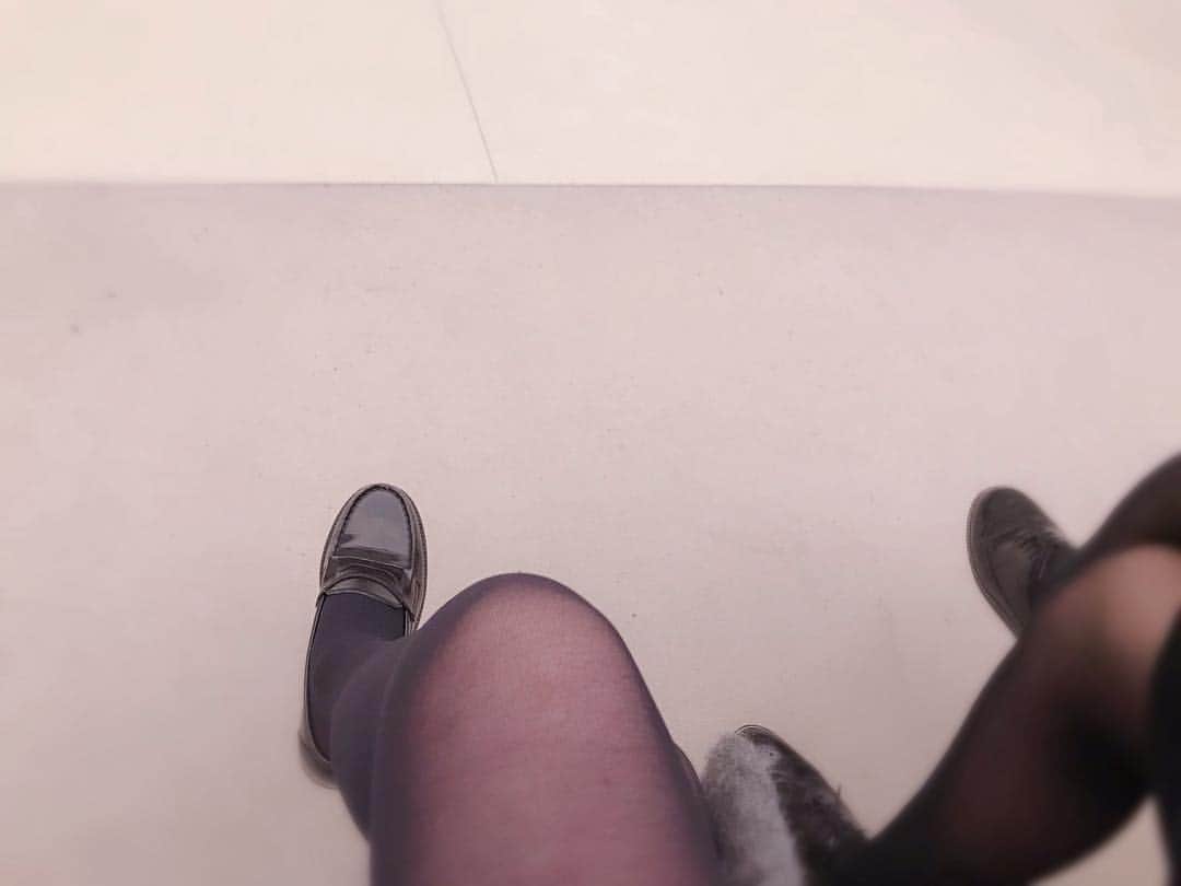 トリンドル玲奈さんのインスタグラム写真 - (トリンドル玲奈Instagram)「今まで見た中で一番きれい〜🥺かわいい。。♡と思った美術館かもしれません♡  妹と二人して靴HARUTA♡」2月1日 20時05分 - toritori0123
