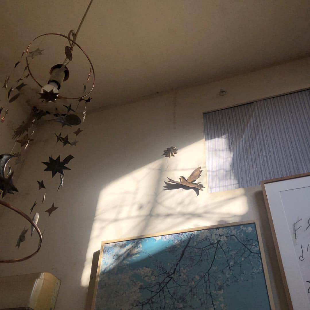 前北美弥子のインスタグラム：「この時刻、朝日の木影に鳥が飛ぶ。＃bセンス」