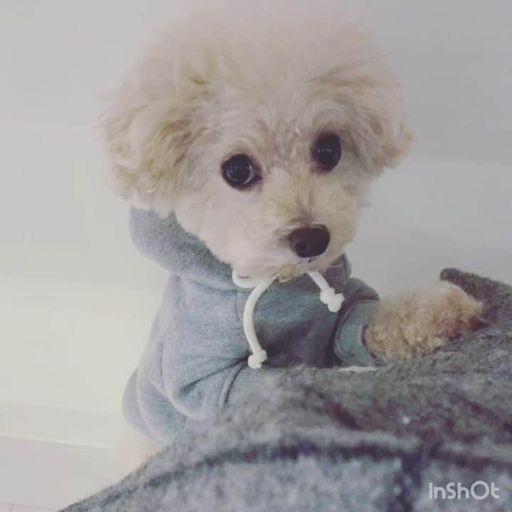 mizuのインスタグラム：「6時半くらいになると、まずこうして私のとこにきてアピールしてきます♡」
