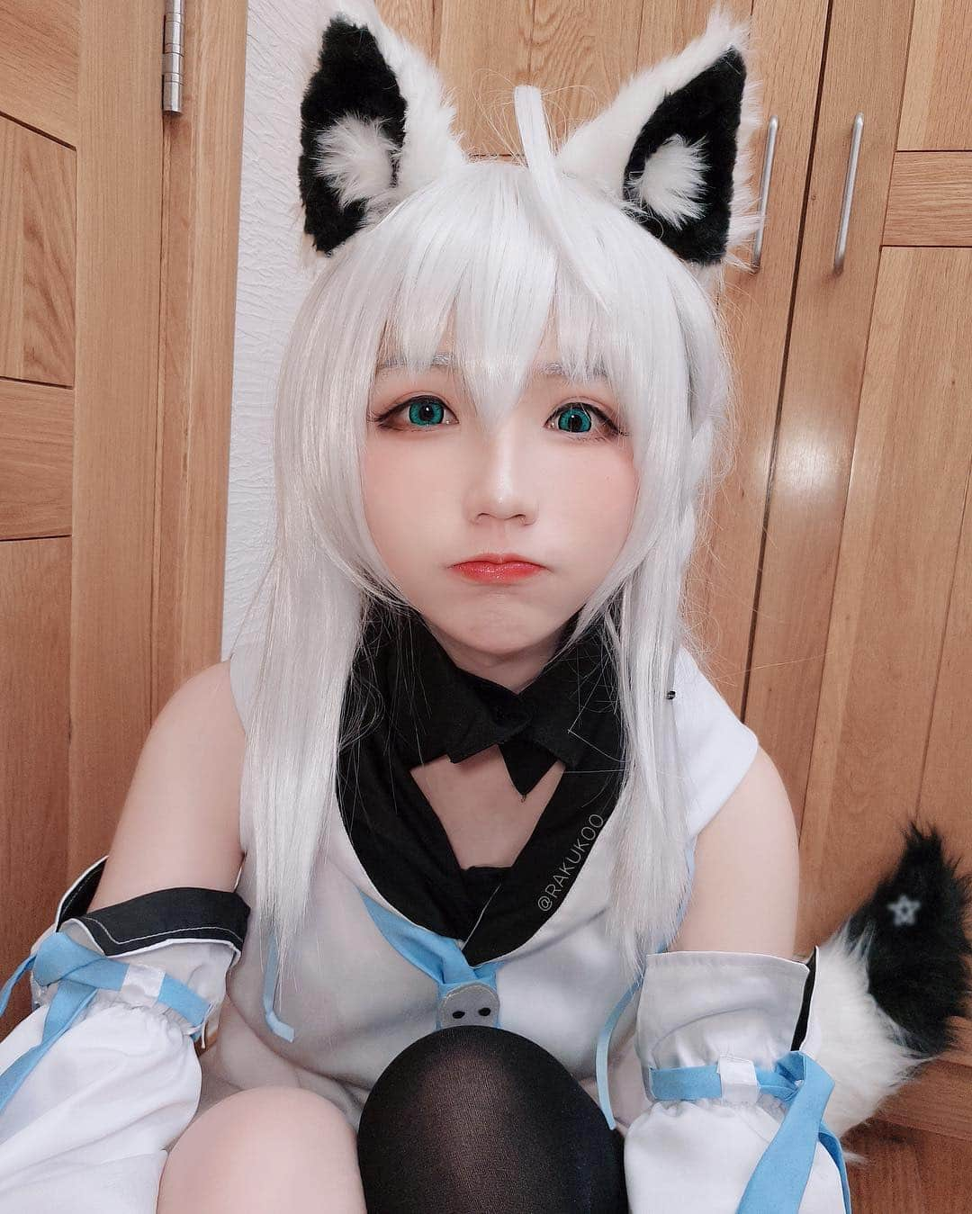 犬神洛洛子さんのインスタグラム写真 - (犬神洛洛子Instagram)「コンコン🦊 #cosplay #白上フブキ #コスプレ #vtuber #shirakamifubuki」2月2日 17時19分 - rakukoo