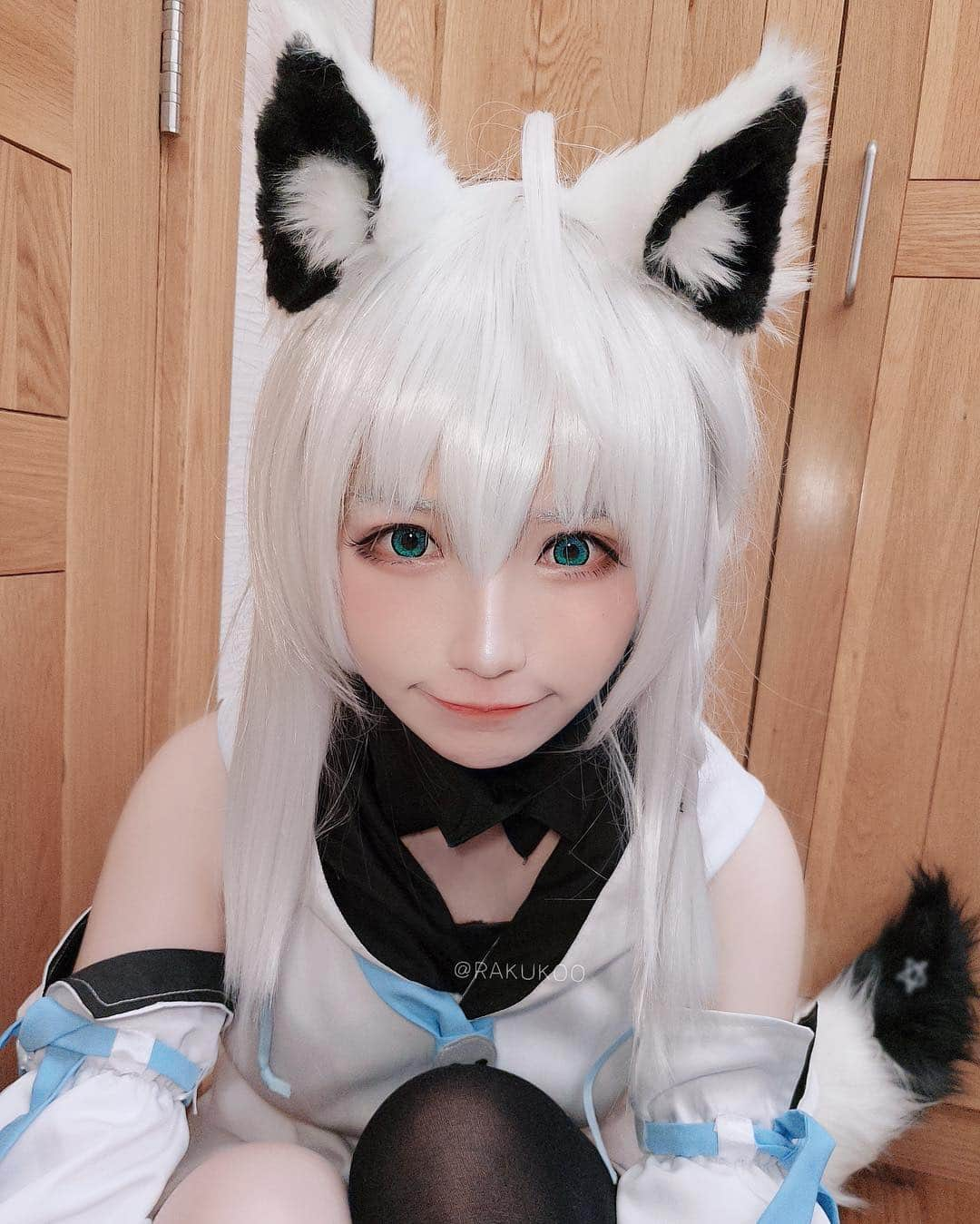 犬神洛洛子さんのインスタグラム写真 - (犬神洛洛子Instagram)「コンコン🦊 #cosplay #白上フブキ #コスプレ #vtuber #shirakamifubuki」2月2日 17時19分 - rakukoo