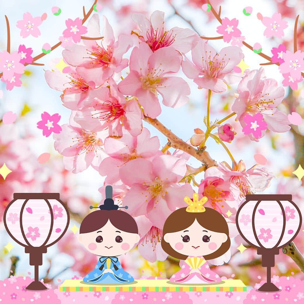 LINE Cameraさんのインスタグラム写真 - (LINE CameraInstagram)「Japanese festivals as stamps! 🎎🎋 There's hina dolls, origami helmets, and more 🌟 . #linecamera # #lineカメラ #라인카메라 #可愛い #kawaii #hinamatsuri #ひな祭り #桜 #さくら #cherryblossoms #sakura #eventstamps #events #イベントスタンプ #イベント #季節 #season」2月2日 12時01分 - linecamera_official