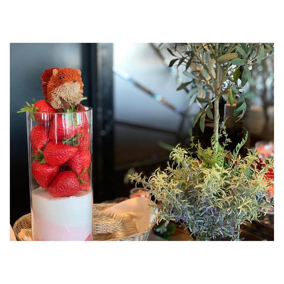 のインスタグラム：「・ 昨日は母娘でいちごビュッフェ🍓 ・ 可愛くて美味しくて楽しくて 幸せな時間でした🍓🌿 ・ ・ ・ 年齢のせいでしょうか… 美味しいのに甘いものを沢山は 食べられなくなっていてショック🤣 ・ 手に持っているスイーツは 母と分けて食べました🍓笑 ・ 他にもサラダやピザもあり、 とっても美味しかったです🎶 ・ ・ ・ ・ ・ #いちごビュッフェ #ストロベリービュッフェ #横浜ベイシェラトン #小菅晴香 #フリーアナウンサー #セントフォース」