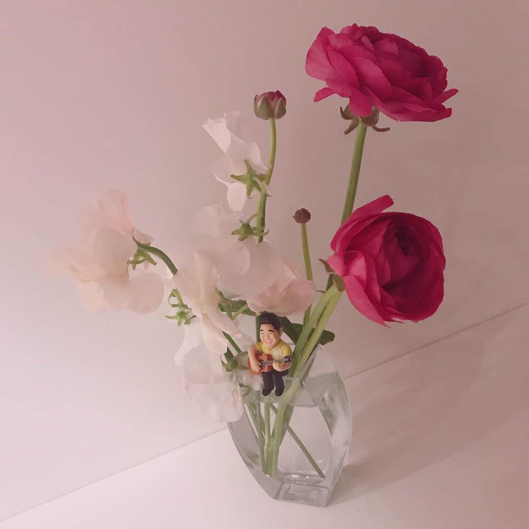 元井美貴さんのインスタグラム写真 - (元井美貴Instagram)「探していた #ANZEN漫才 #みやぞん さんのフチ子さんをやっと発見。お花の中に置いたら妖精みたいになりました。可愛い〜癒される〜💐 #ラナンキュラス #コップのフチ子」2月2日 21時54分 - mikimotoi