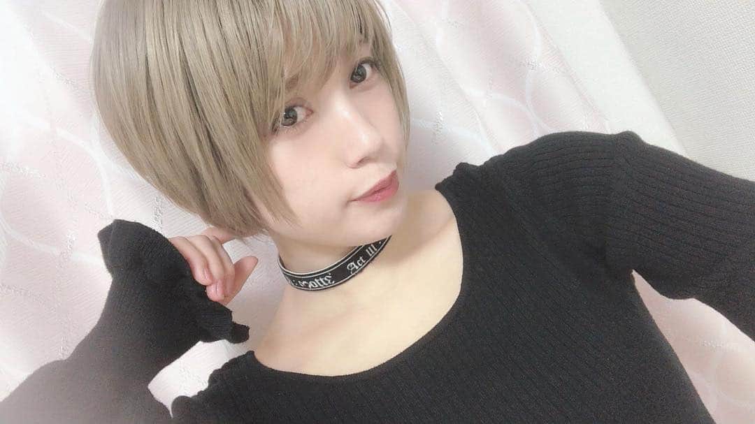 横川ユカのインスタグラム：「髪色期間限定の予定なんだけどお気に入りすぎて変えたくない。１ヶ月はこれでいれるのに今からもう寂しい。  #ショートヘア #ショートカット #ショートカット女子 #ジェンダーレス女子 #ジェンダーレス #チョーカー #gdragon #BIGBANG #セルフィ #自撮り #selfie #ヘアカラー #haircolor #hair #金髪 #金髪ショート #グレージュ #オリーブアッシュ #オリーブグレージュ #actress #女優 #役者 #お仕事募集中 #モデル #撮影」
