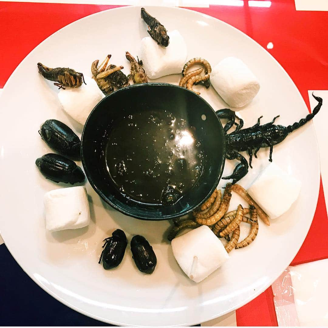 井上咲楽さんのインスタグラム写真 - (井上咲楽Instagram)「. 昆虫チョコフォンデュ🐞🐜🦗 カブトムシ、ミルワーム、コガネムシ、カブトムシ、バッタ、サソリ . ワンプレートでこんなに楽しめる！楽しい！ . #大阪 #アメ村 #スネークカフェ #昆虫食」2月2日 23時56分 - bling2sakura