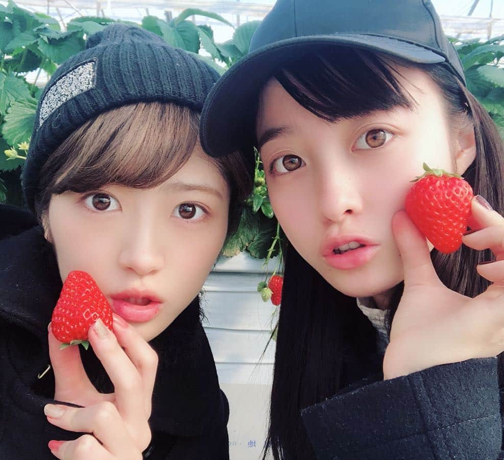 若月佑美さんのインスタグラム写真 - (若月佑美Instagram)「. 京子さぁぁあん！！！ お誕生日おめでとうございます！！ 20歳の京子さんも本気マブいっす。 一生ついていきますから！！ . あ、あとピロリロリーンってなんすか。 by.川崎明美 . ということで、 イチゴ狩りに一緒に行ったのは かんちゃん(橋本環奈ちゃん)でした♪ お誕生日本当におめでとうーっ♪ . . #橋本環奈 #今日から俺は!! #成蘭女子 #安心してください #スケバン2人組ですが #狩ったのは #いちごです」2月3日 0時14分 - yumi_wakatsuki_official