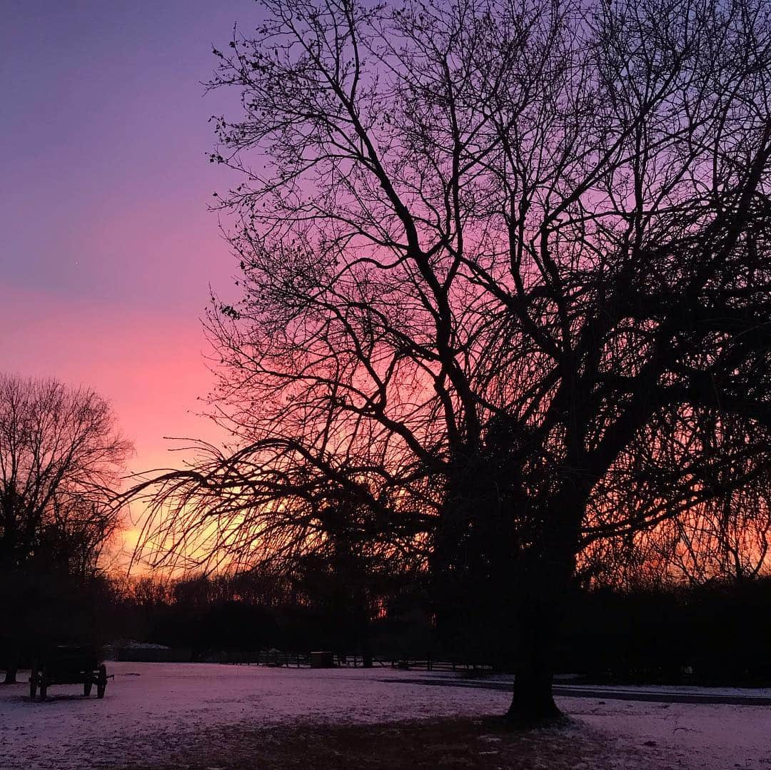 ジジ・ハディッドさんのインスタグラム写真 - (ジジ・ハディッドInstagram)「5:32-5:39pm recharged 🧠✨🙏」2月3日 7時52分 - gigihadid