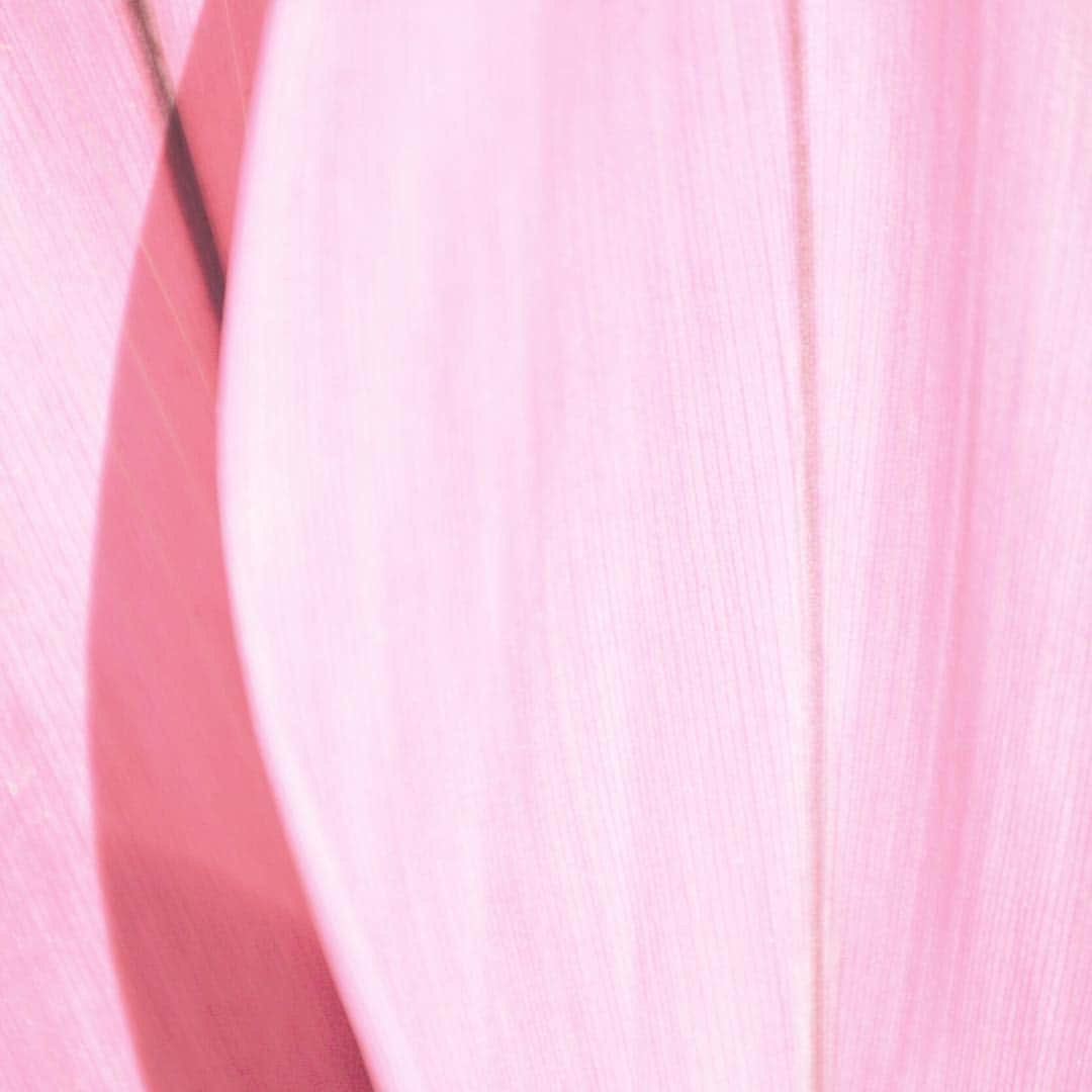THE SEA CLOSETのインスタグラム：「90%〜80%off sale開催中です✨ 続々と売り切れて参りましたので是非お早めにチェックしてみてくださいね！ @theseacloset  _ _ #theseaclosetSC #sandals #shoes #hawaii #beach #vacation #style #ootd #beachlife #hawaiilife #fashion#selectshop #ハワイ #セレクトショップ #ワイキキ #サンダル #海外ブランド #ファッション #コーデ #ハワイ旅行  #swimwear #ビーチ #大人カジュアル#ハワイファッション #theseacloset #シークローゼット #水着」