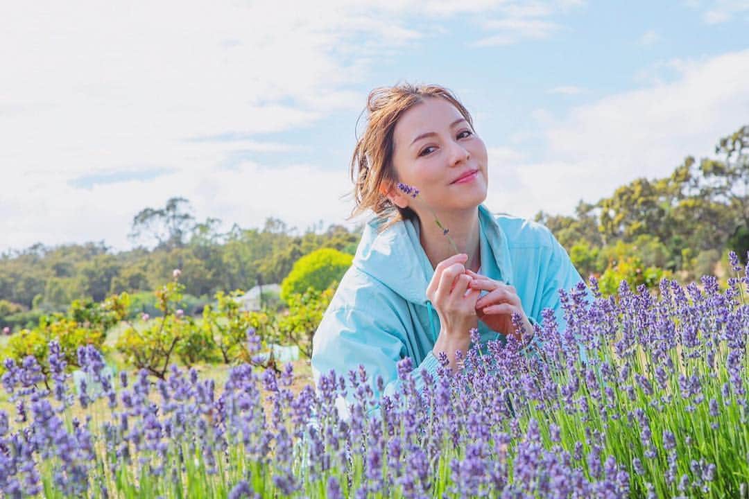 香里奈のインスタグラム