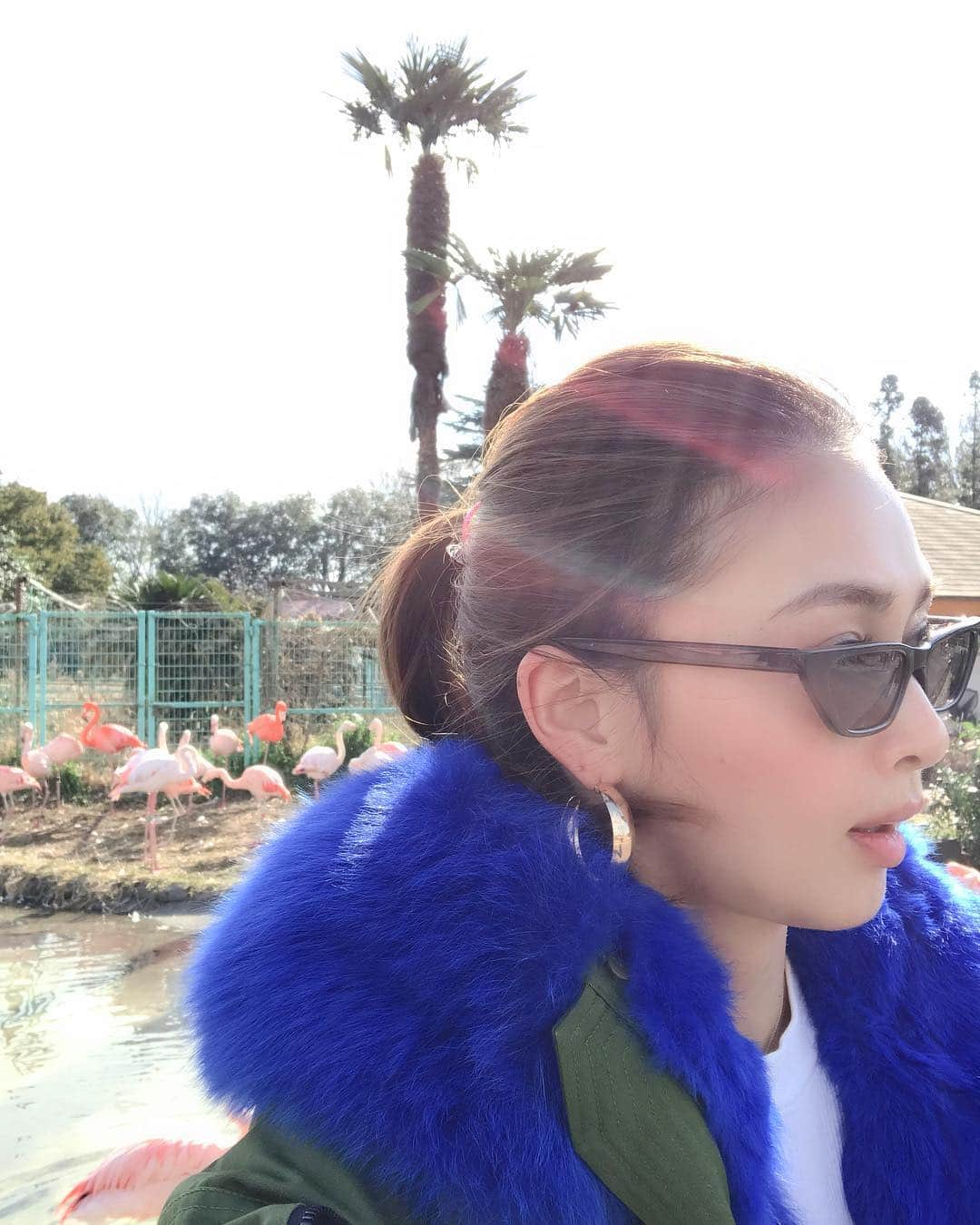 桜井裕美さんのインスタグラム写真 - (桜井裕美Instagram)「今日はお天気も良かったので、東武動物公園に来ました✨ ピンクフラミンゴと私❤️(笑笑) 私はアルパカがいつ見ても1番かわいいと思う💕 息子っちも楽しそう😄 #東武動物公園#アルパカ」2月3日 14時10分 - yumisakurai24