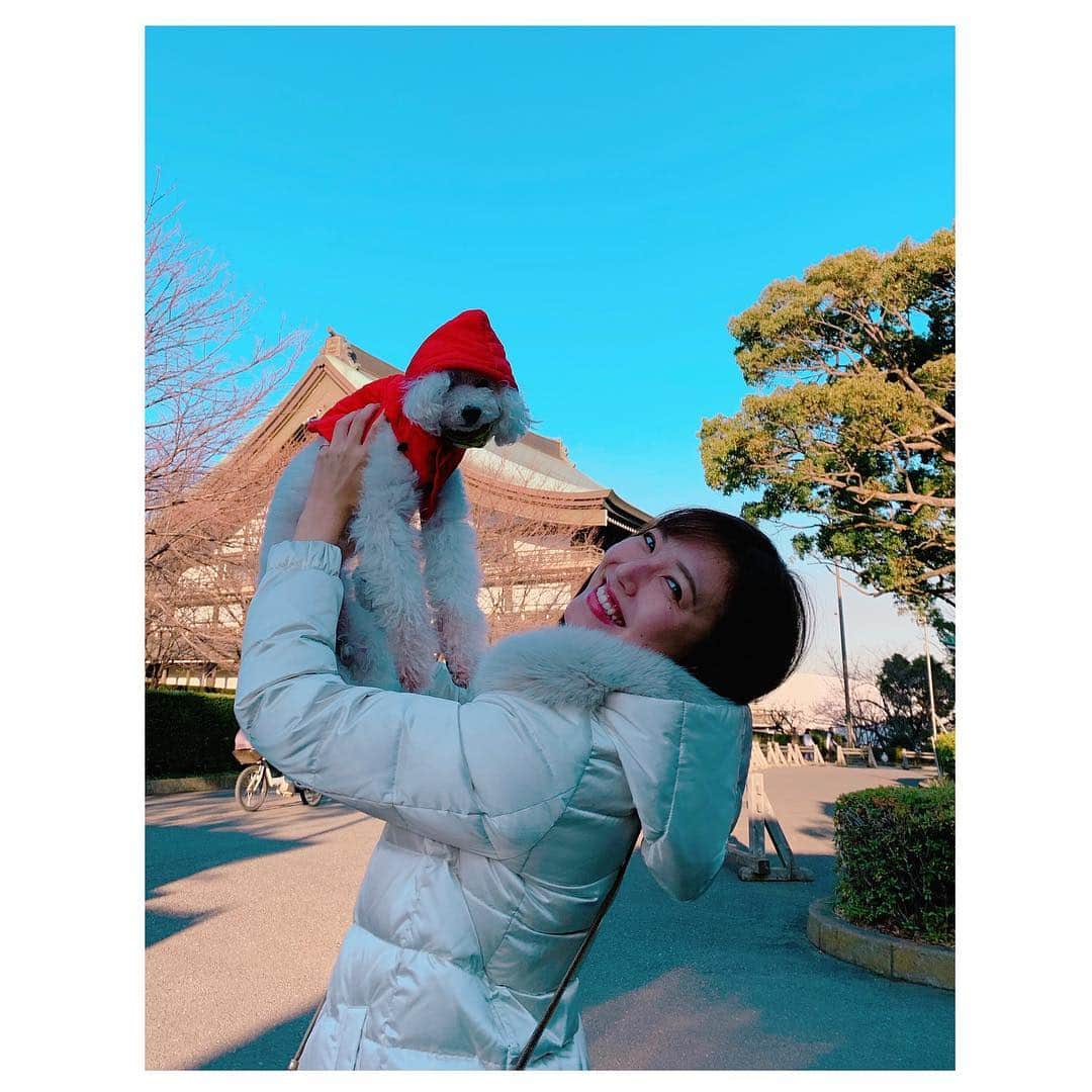 小澤陽子のインスタグラム