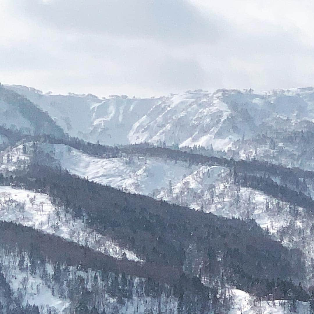 中井孝治さんのインスタグラム写真 - (中井孝治Instagram)「ムムッ」2月3日 23時30分 - takaharunakai