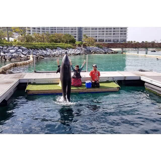 鈴木ちなみさんのインスタグラム写真 - (鈴木ちなみInstagram)「A good location ⛱ We touched a dolphin 🐬💕 Swipe🐬Do you check third picture???🤣 #デルサタ #沖縄 #女子旅 #エースjtb  #エースjtbプレミアムラウンジ  #ルネッサンスリゾートオキナワ  #ドルフィンタッチ #ちなみたび」2月3日 23時47分 - chinami_suzuki0926