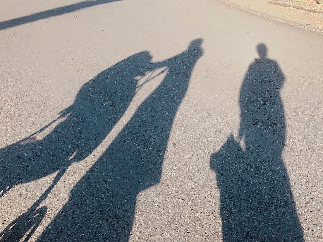 丸高愛実さんのインスタグラム写真 - (丸高愛実Instagram)「お散歩💓娘と一緒にいると私に冷たい態度とってくるのでご機嫌とり😂❤️ #実家 #チャコ #愛犬 #公園 #柴犬」2月4日 17時07分 - marutakamanami