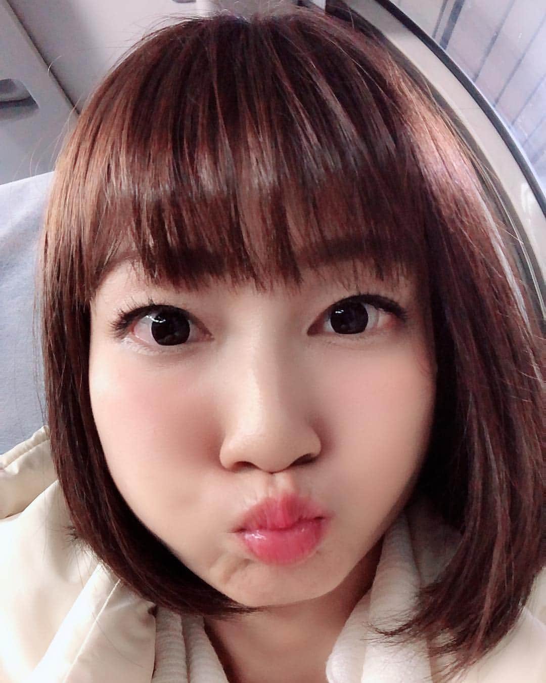 ヒラヤマンのインスタグラム：「ぷくぷく #ヒラヤマン #ひらやまん #次の駅で降りるのにのんき」