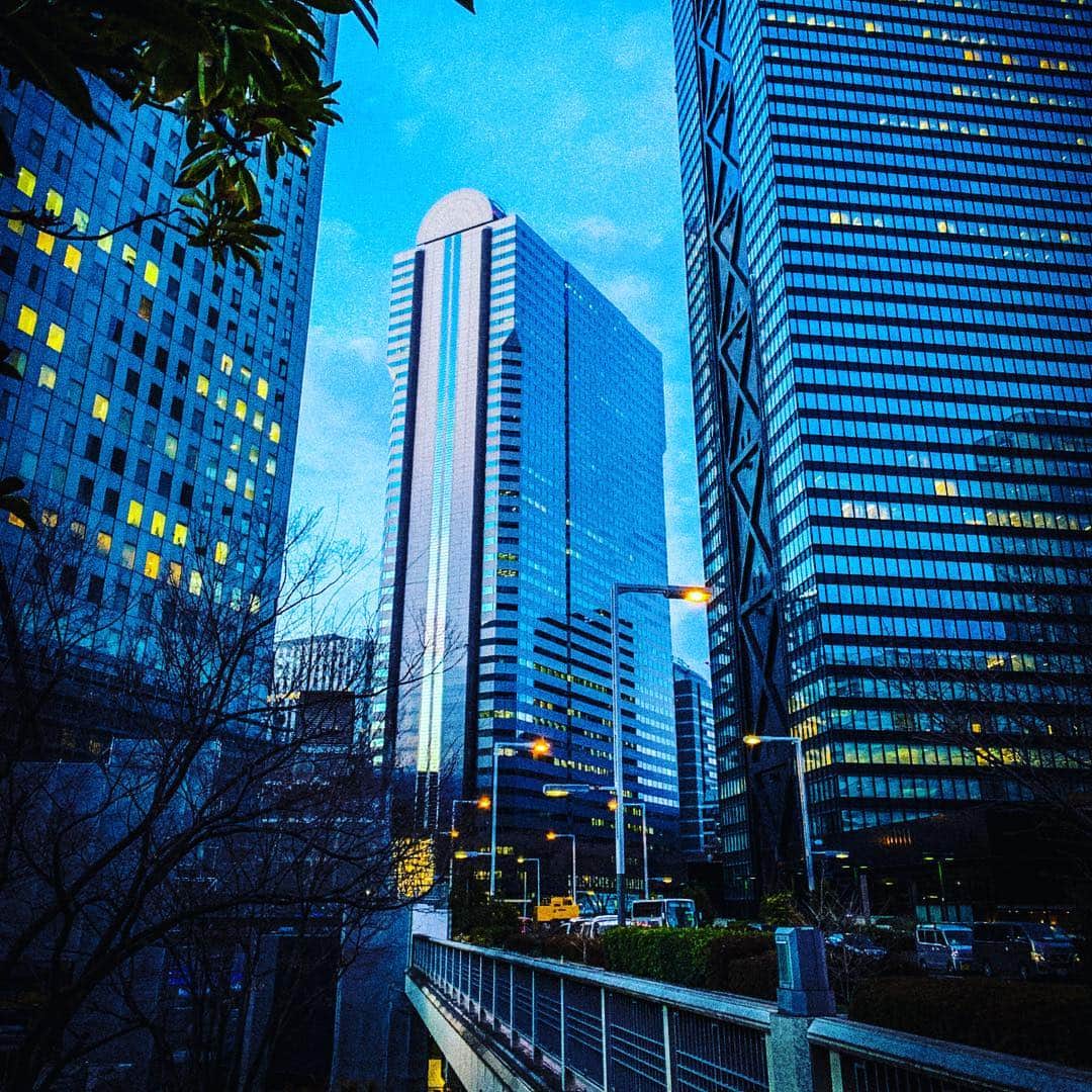 en soku!のインスタグラム：「まさに立春。あたたかい一日でした。おかげでスギ花粉も飛びはじめたようで…。 そんな今日は東京オフィスの入居する新宿アイランドタワーの遠景をお届けします。一体なぜビルの写真なのか？特に理由はございません。  #新宿 #高層ビル #西新宿 #新宿アイランドタワー #きょうの一枚 #働く #仕事 #ビジネス #人材業界 #キャリア #就活 #就職活動 #新卒 #採用 #広報 #人材 #エンソク #エンジャパン #enjapan #ensoku #work #career #hr」