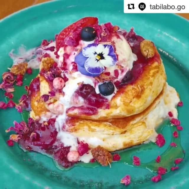 TABI LABO【公式】のグルメインスタ