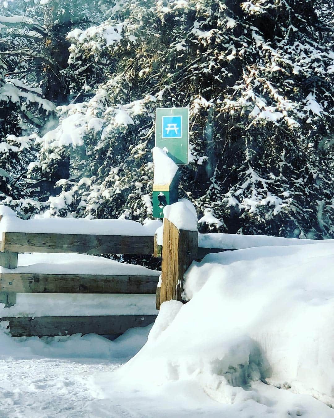 村主章枝さんのインスタグラム写真 - (村主章枝Instagram)「Shrine signal at the parking⁉️ #explorecanada」2月5日 2時53分 - fumie.suguri