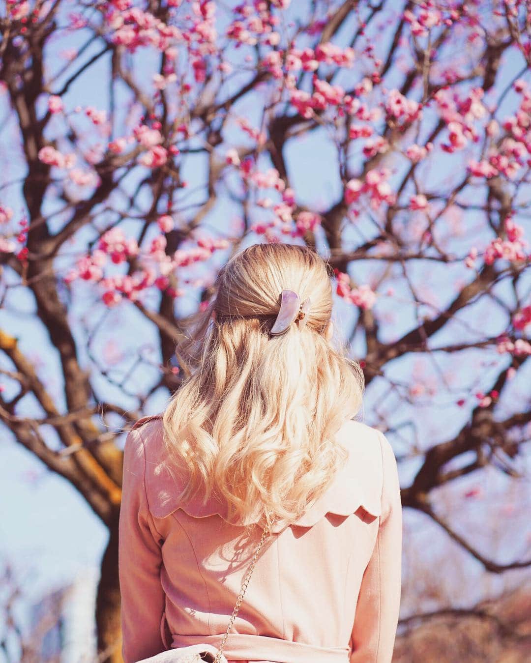 ソフィーさんのインスタグラム写真 - (ソフィーInstagram)「🌸Instagram reach sucks🌸 - #spring #japan #travel #cherryblossom #tokyo #japantravel #privateonsen #モデル #外国人モデル #外国人モデル募集」2月5日 12時01分 - peachmilky_