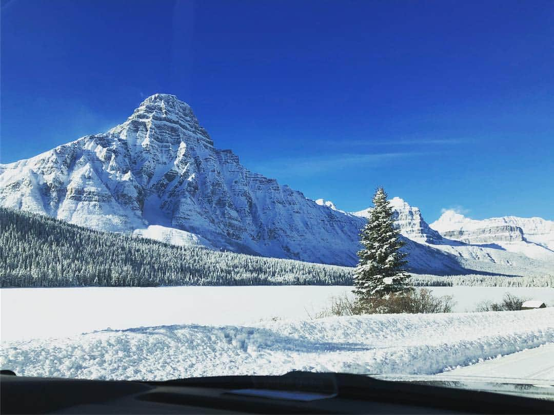 村主章枝さんのインスタグラム写真 - (村主章枝Instagram)「On my way to another Lake 次の場所に移動してます #explorecanada」2月5日 7時02分 - fumie.suguri