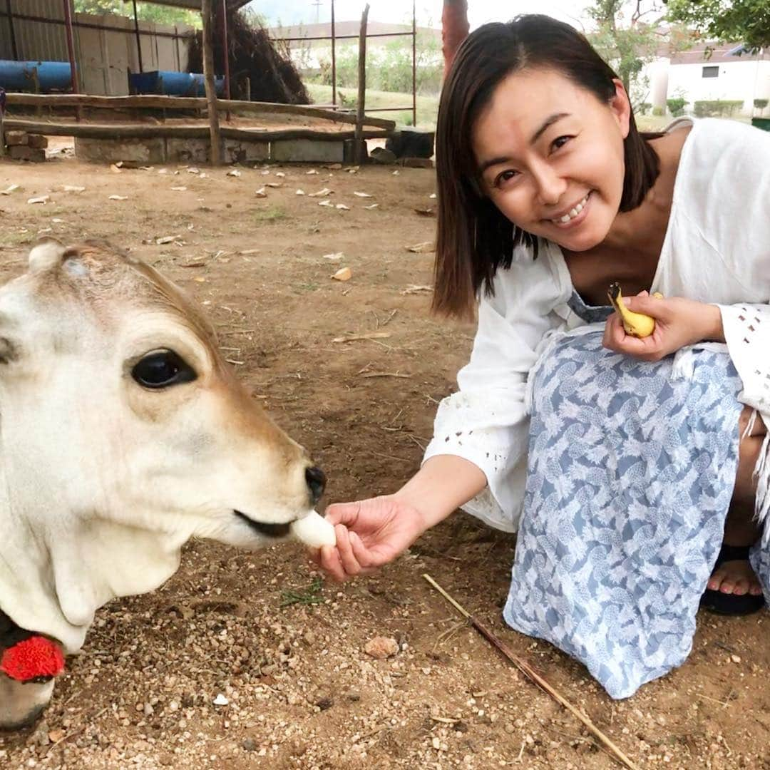 田中律子のインスタグラム