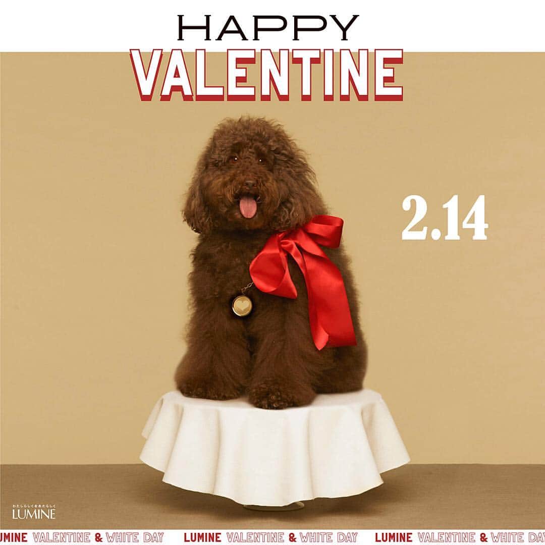 ルミネ公式さんのインスタグラム写真 - (ルミネ公式Instagram)「ルミネ各店のおすすめアイテムを集めた特設WEBサイトを公開中。 今年のバレンタインが、 私史上一番楽しいバレンタインになりますように。 ルミネはそんなハッピーバレンタインを応援します。 詳しくはルミネのホームページをチェック！ #lumine  #ルミネ #valentine  #バレンタイン」2月5日 14時53分 - lumine_official