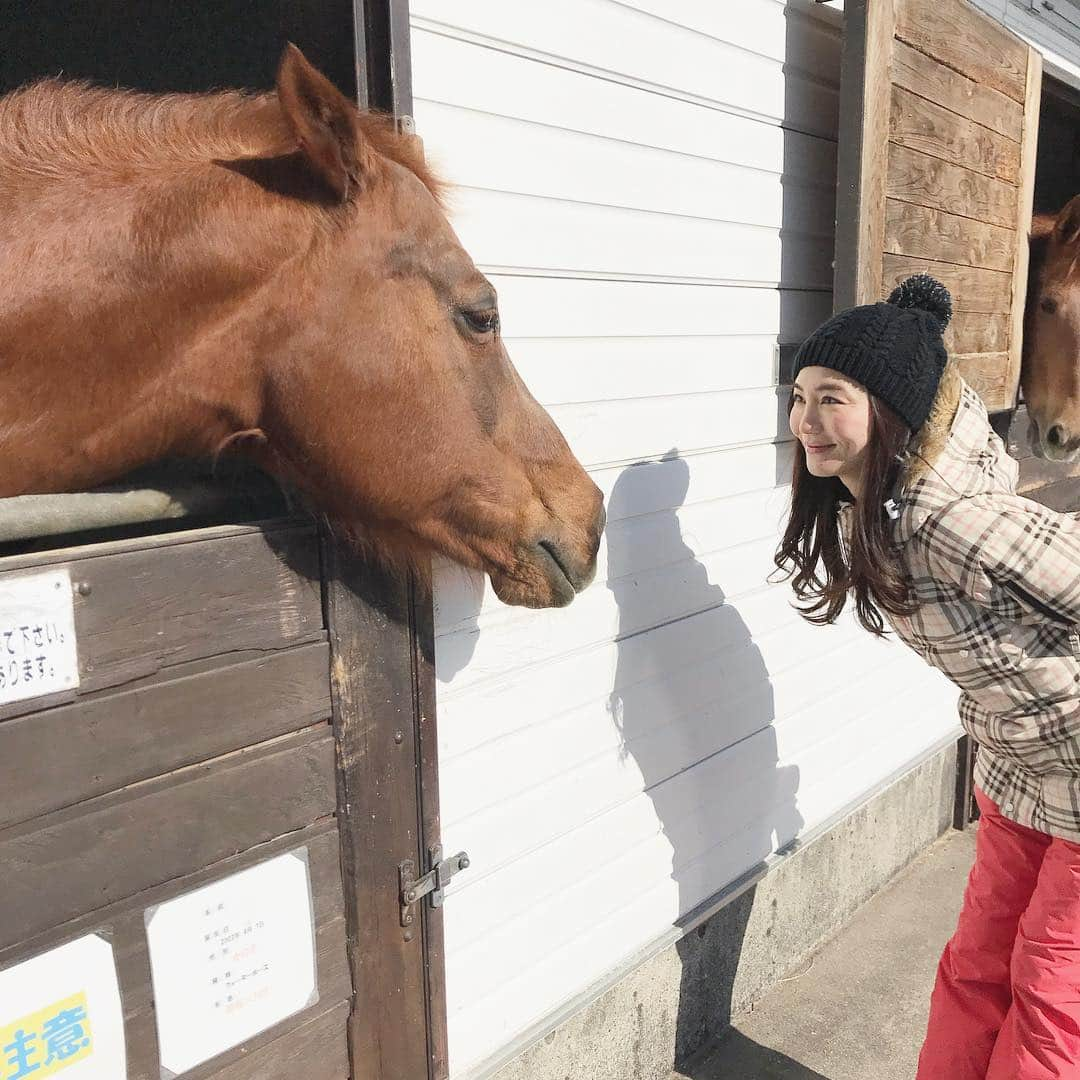 佐藤美央里さんのインスタグラム写真 - (佐藤美央里Instagram)「にらめっこ🐴❤️ . . . #牧歌の里 #郡上 #岐阜 #ひるがの高原 #お馬さん #可愛い #にらめっこ #ロケ #リポーター #東海テレビ #instagood #ig_japan #japan #reporter #tv #myjob #model」2月5日 21時24分 - miori_sato14