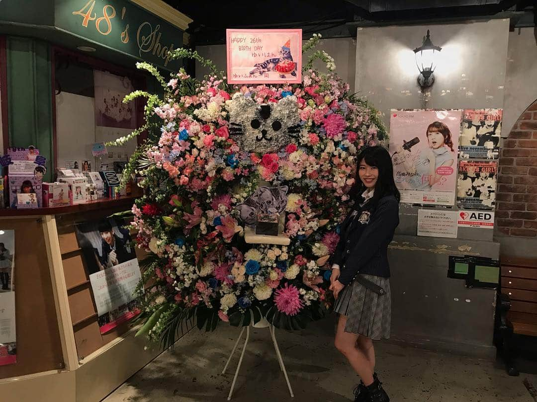 横山由依さんのインスタグラム写真 - (横山由依Instagram)「素敵なお花ありがとうございます😊  #akb48 #猫 #ビス #ゆいふぁん世界一」2月5日 23時17分 - yokoyamayui_1208