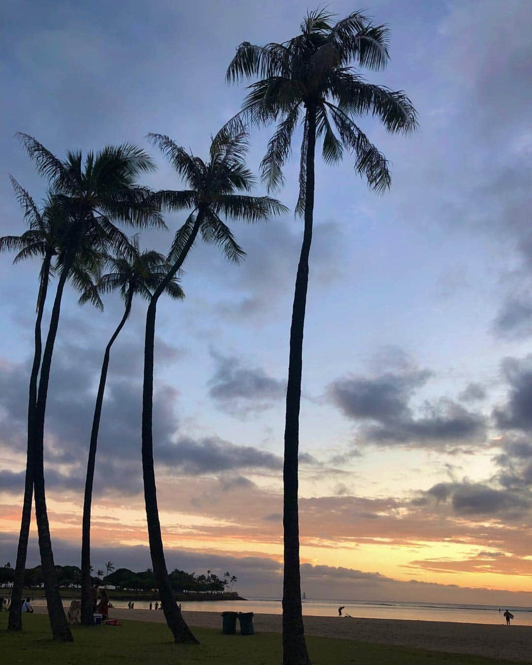 加藤雛さんのインスタグラム写真 - (加藤雛Instagram)「テスト期間終わって、ハワイきたよ #🌴 #hawaii」2月6日 7時57分 - hina1213