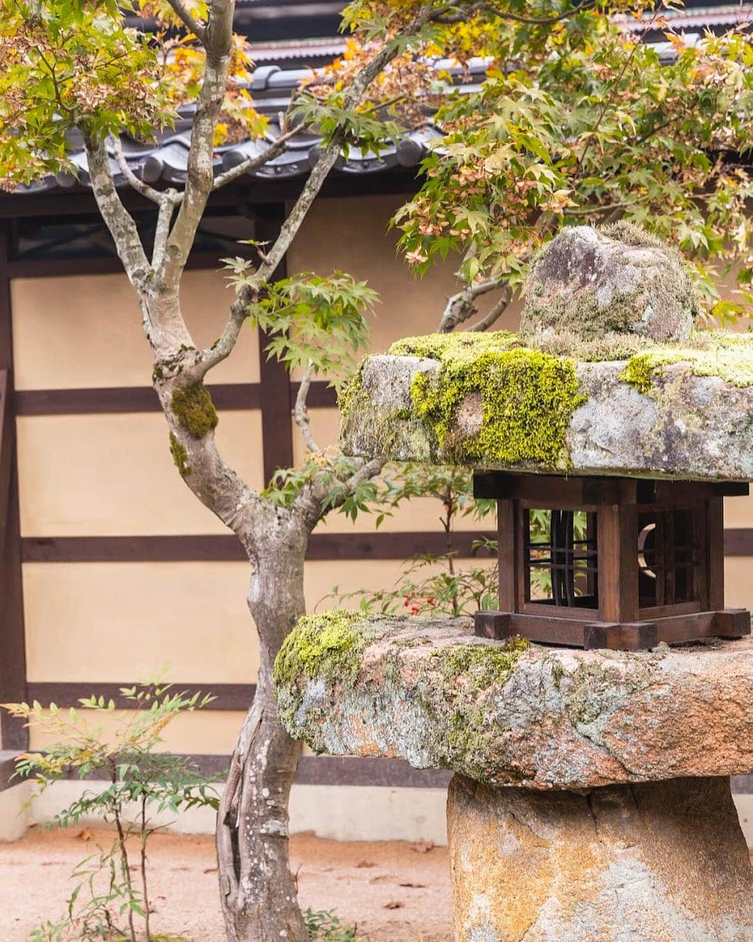 竹田城 城下町 ホテルEN（えん）のグルメインスタ