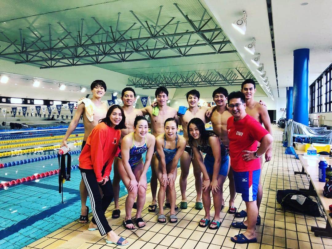 瀬戸大也さんのインスタグラム写真 - (瀬戸大也Instagram)「合宿序盤から攻めすぎてます🤦‍♂️ 素晴らしい選手達と環境に感謝🙏  #swimming #camp #kindai #ana #jss #teamvisa #ajinomoto #arena #japan #korea #roadtotokyo2020 #gwangju2019」2月6日 20時24分 - daiya_seto