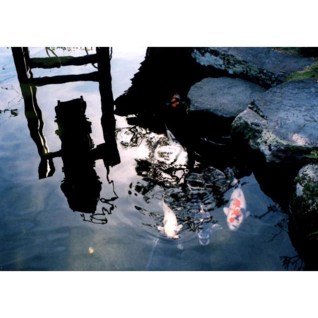 宮﨑香蓮さんのインスタグラム写真 - (宮﨑香蓮Instagram)「いよいよ21時から放送です！ NHK BSプレミアム 「かんざらしに恋して」 撮影の合間にフィルムで撮った 水の綺麗な島原。  #かんざらしに恋して #島原 #μzoom #カレントフィルム」2月6日 20時46分 - karen_miyazaki_official