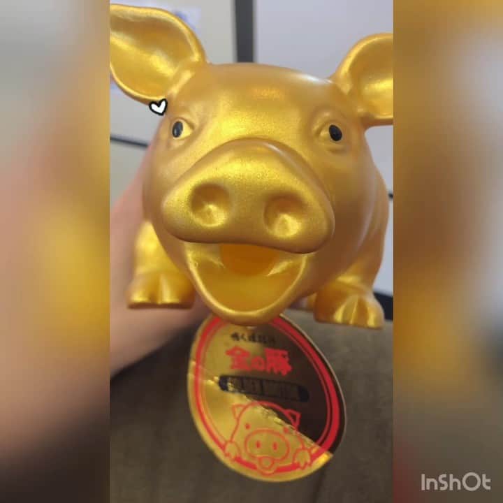 中野みやびのインスタグラム：「ぶーちゃん(๑•🐽•๑)  #豚 #ぶーちゃん #ぶひ #pig #黄金 #金色 #ゴールド #gold #キラキラ #輝く #鳴き声 #ぶー #声 #ボイス #民謡ガールズ #みやび」