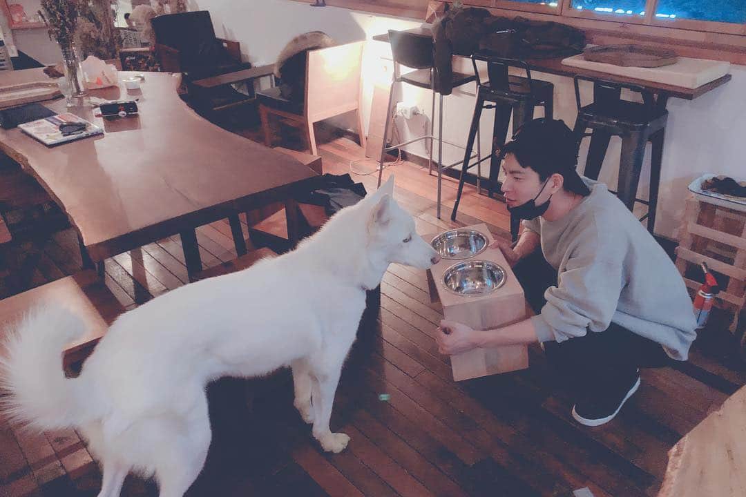 ホン・ジョンヒョンのインスタグラム：「이건 진이꺼🐶 #나만신난거같다. #삼옥」