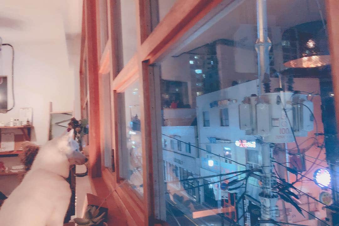 ホン・ジョンヒョンさんのインスタグラム写真 - (ホン・ジョンヒョンInstagram)「💙 조금많이큰애기 #창문을좋아함」2月7日 11時05分 - hjonghyun