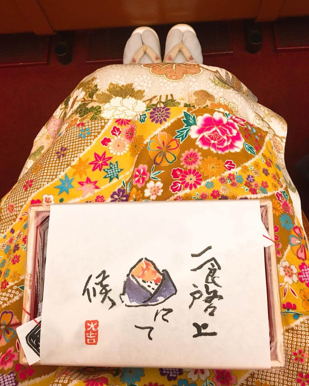 西村季里子さんのインスタグラム写真 - (西村季里子Instagram)「・ 念願の夢が叶って、 母と一緒に着物を着て歌舞伎を観に行きました✨ 私が上京した頃から、よく母が 「着物を着て歌舞伎座で歌舞伎観たいなぁ」 と言ってたから叶えてあげれて嬉しい😭✨ (遅くなってごめんね🙏) 内容は難しくて分からないかも… と不安だったけど、そんな不安吹き飛ぶくらい のめり込んで観た！！！！！ 歌舞伎の演技力表現力はすごい… ハマりそう🙈💕💕💕 歌舞伎座に行くだけでも とても楽しかったので、 まだ観たことない人おススメです👐🏻 #歌舞伎#歌舞伎座#二月大歌舞伎 #銀座#尾上菊五郎#尾上松也 #中村吉右衛門  #舞台#演技#表現#着物#kimono #親子#お弁当#幸せ#夢#叶った #followme #follow」2月7日 13時09分 - kiriko_nishimura