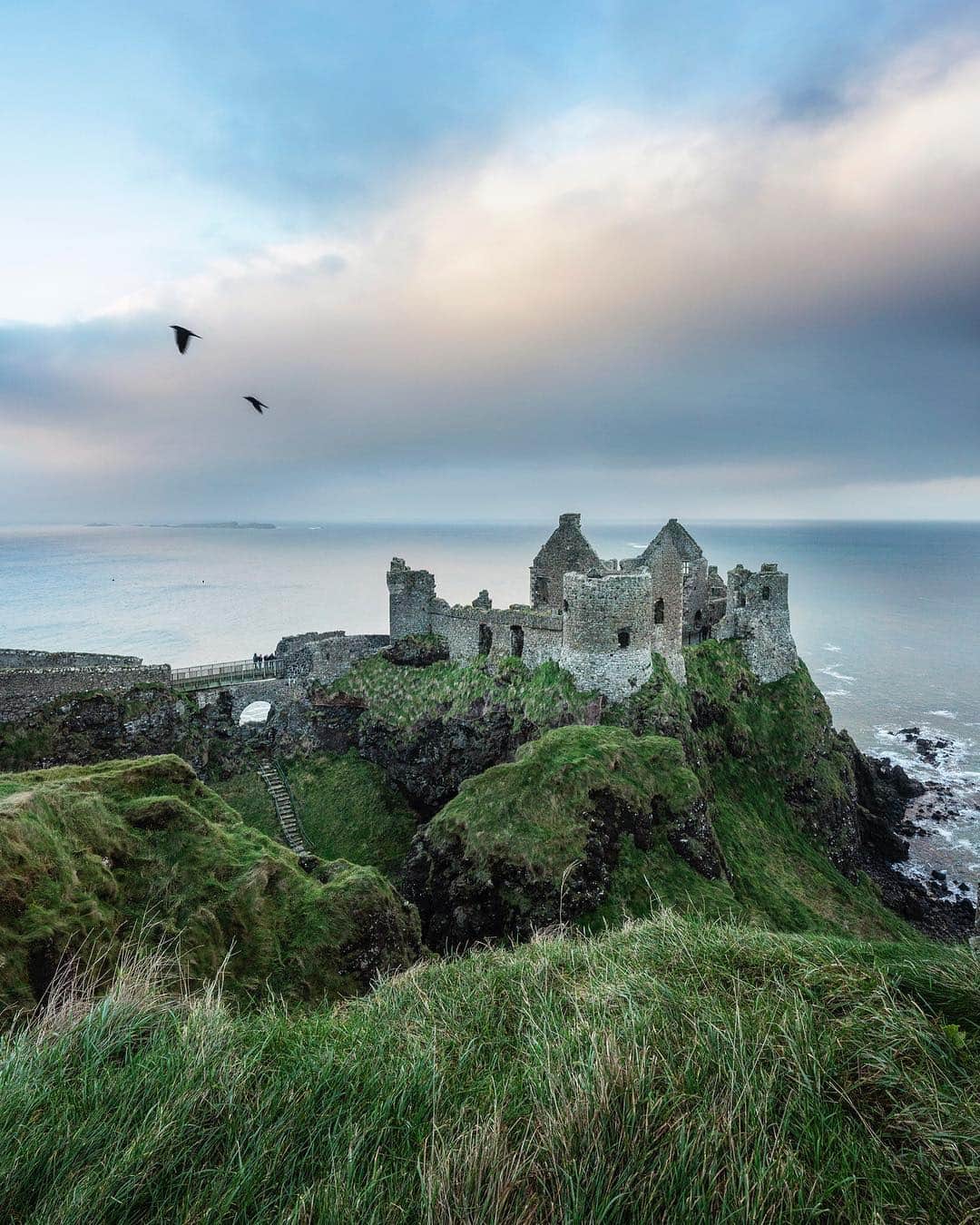 National Geographic Travelさんのインスタグラム写真 - (National Geographic TravelInstagram)「photo by @andrea_frazzetta // The ruins of a medieval castle in Northern Ireland along the scenic Causeway Coastal Route. Perched precariously on a basalt outcrop joined to the mainland by an arched walkway, Dunluce Castle dates from at least Norman times. An even earlier fort occupied the site before that. In 1639, the castle's kitchen fell into the sea, taking the cooking staff with it. Locals say a baneful banshee haunts the castle on stormy nights. Castles dot the countryside of the Irish Isles. Some remain private homes, some are open to the public, and some are mere ruins of what they once were. Follow @andrea_frazzetta to know more about my next projects #northernireland #dunlacecastle #castle」2月8日 4時17分 - natgeotravel