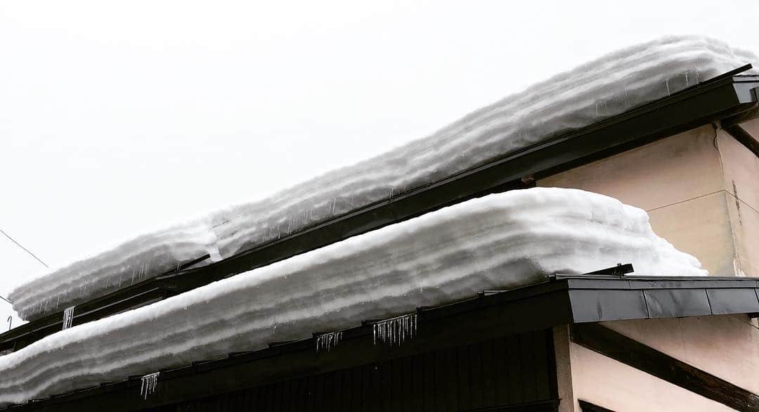 國本未華さんのインスタグラム写真 - (國本未華Instagram)「山形県新庄市に来ております。 折り重なった雪の層とツララ。 関東では見ることのできない風景。 #新庄 #山形県」2月8日 9時27分 - kunimoto_mika