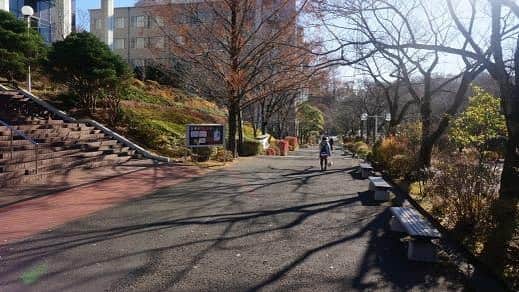 Soka Universityのインスタグラム
