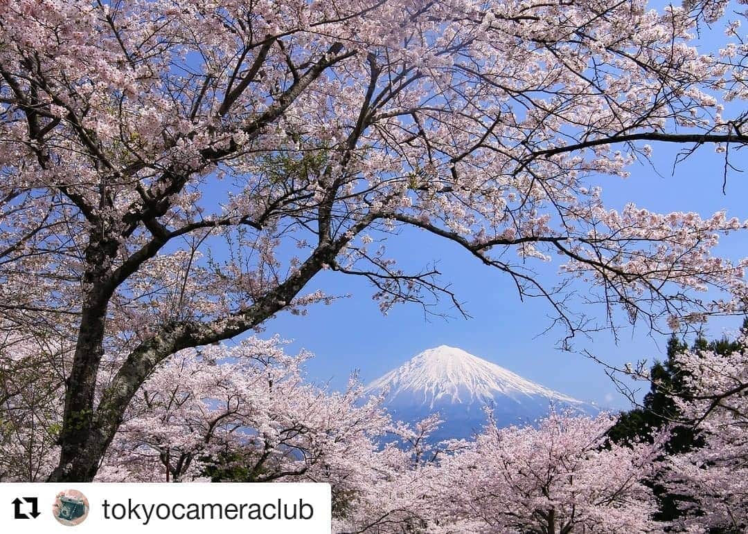 インプレスブックスのインスタグラム：「東京カメラ部さんにご紹介いただきました！ありがとうございます。『四季の風景写真術』は2/15発売です！」