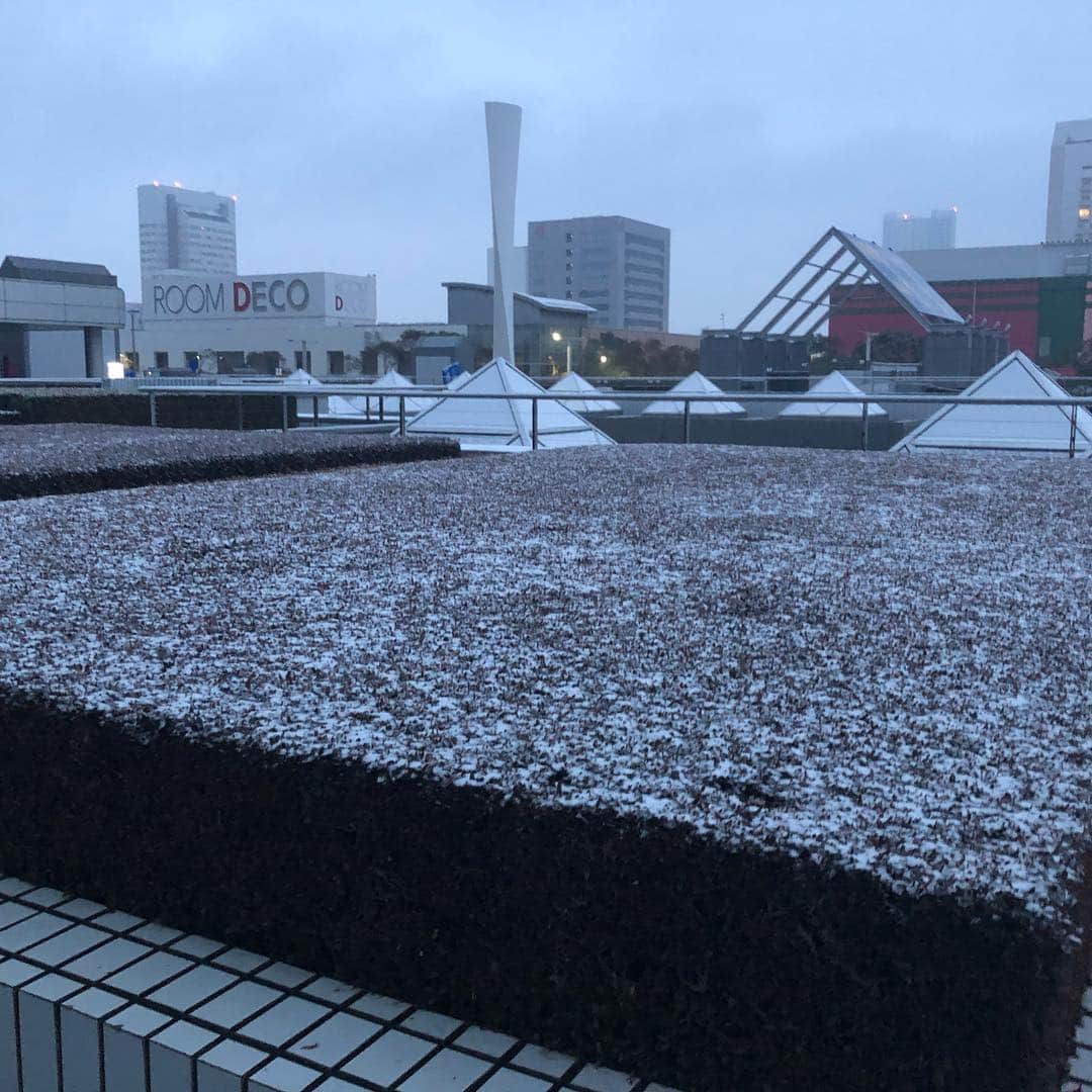 江川清音さんのインスタグラム写真 - (江川清音Instagram)「千葉幕張でも芝生や土に積雪。 5時頃アラレが降っていました。 3時半で湿った雪、ミゾレが降っています。 #ウェザーニュースlive #ウェザーニュース #千葉幕張 #天気 #関東の雪 #千葉の空 #関東積雪」2月9日 6時47分 - egawasayane