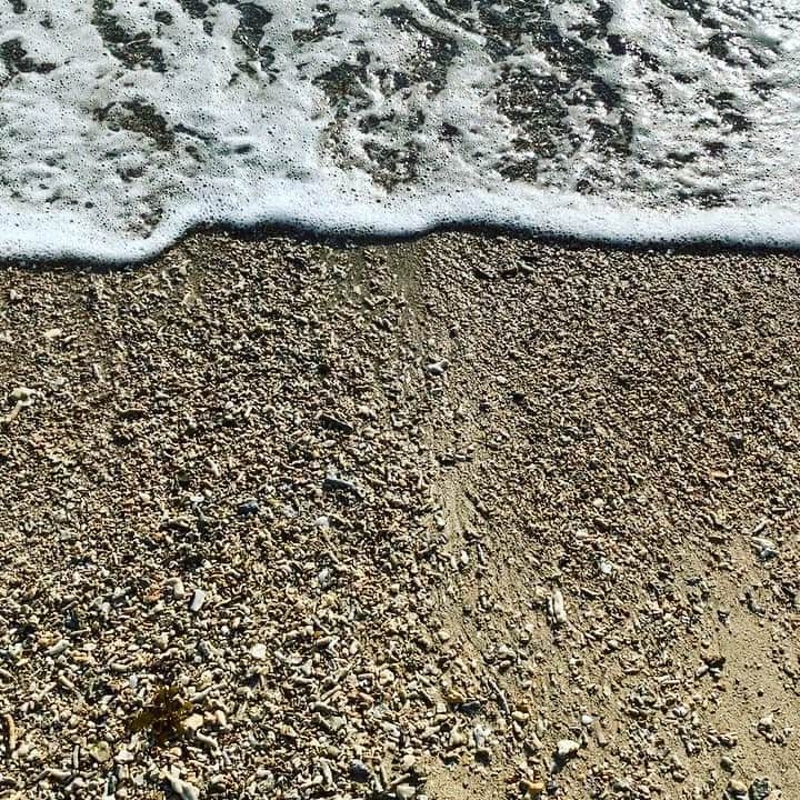 沢口千恵のインスタグラム：「珊瑚の指輪を海に一瞬でももどしたい欲により。  #最終的にあきらめて #靴をいま干しています」