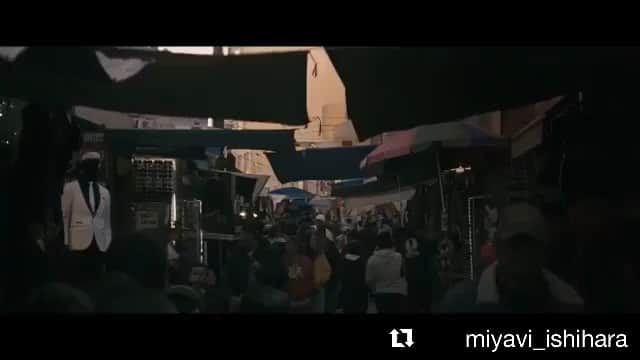 のインスタグラム：「Oh yessssss look at this thingy!!!! Trailer for Stray. Out in select cities March 1st. Link to full trailer in bio 🌿🌿🌿🌿🌿🌿🌿🌿🌿🌿🌿🌿🌿🌿🌿🌿🌿🌿🌿🌿」