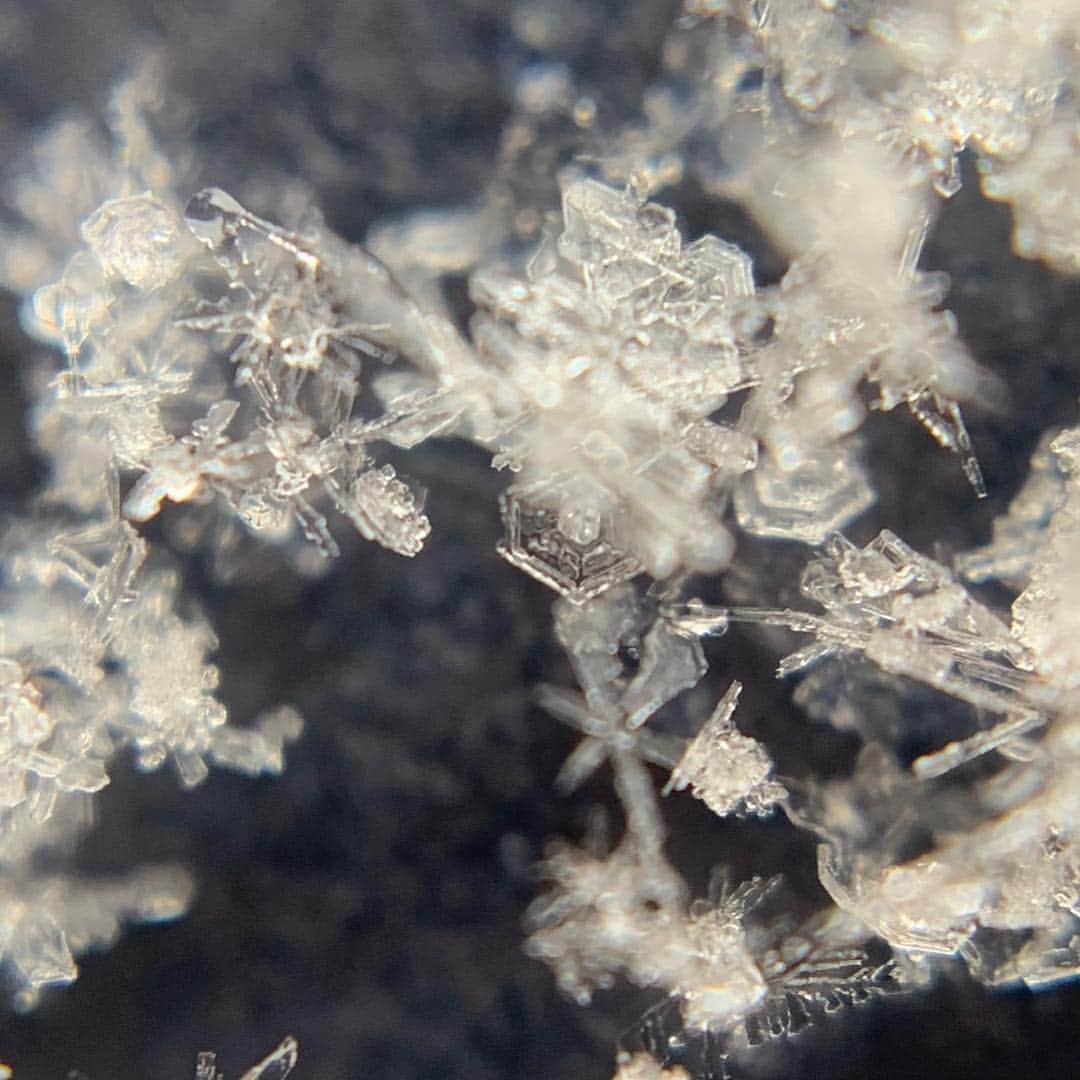 眞家泉さんのインスタグラム写真 - (眞家泉Instagram)「🌨 本当にこんな形なんだなぁ。 可愛いかわいいkawaii❄️ . #雪 #雪結晶 #マクロレンズ」2月9日 14時14分 - maie_izumi