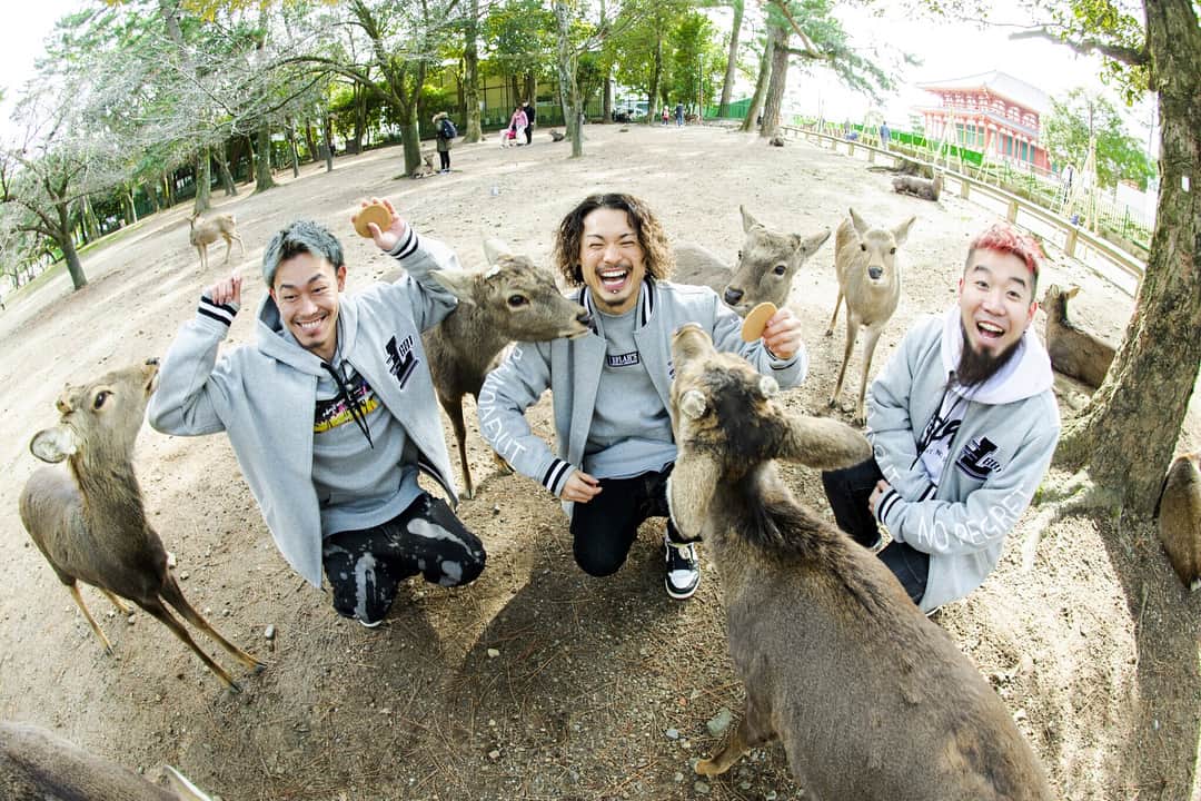 WANIMAのインスタグラム：「奈良公園の面影。﻿ ﻿ Photo by Jon…﻿ ﻿ #WANIMA﻿ #ワンチャンスナイト」