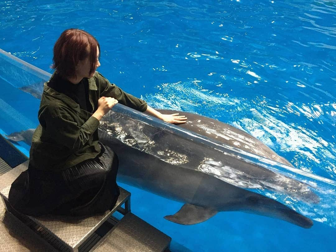 古畑奈和さんのインスタグラム写真 - (古畑奈和Instagram)「イルカくんと触れ合いました🐬  かんわいぃ…」2月9日 20時51分 - nao_furuhata