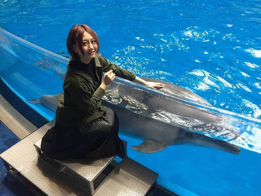 古畑奈和さんのインスタグラム写真 - (古畑奈和Instagram)「イルカくんと触れ合いました🐬  かんわいぃ…」2月9日 20時51分 - nao_furuhata