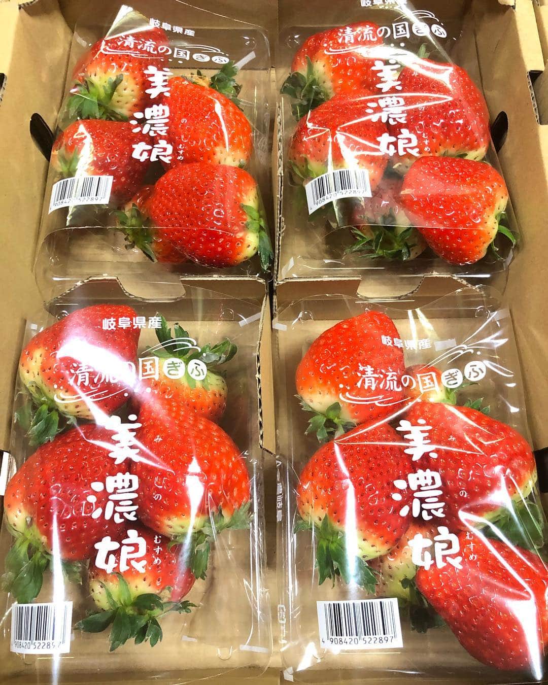 松阪ゆうきのインスタグラム：「美味しいよー💕 苺大好きなんだよー でも中々自分では買わないからなぁ（笑）  美濃娘🍓 初めて頂きましたが、 美味しかったです(〃ω〃) 苺🍓美味しい季節ですね！ ビタミンビタミンww  #いちご  #美濃娘  #美味しい  #大きい  #旬」